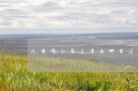 没离婚分居过年去哪里过 没离婚分居过年去哪里过
