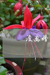 没离婚怎么把孩子落户女方家 没离婚怎么把孩子落户女方家