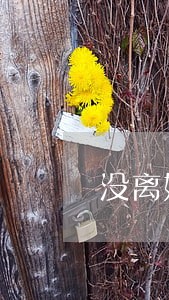 没离婚的孩子户口怎么迁出来 没离婚的孩子户口怎么迁出来