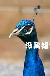 没离婚证有档案可以结婚吗 没离婚证有档案可以结婚吗