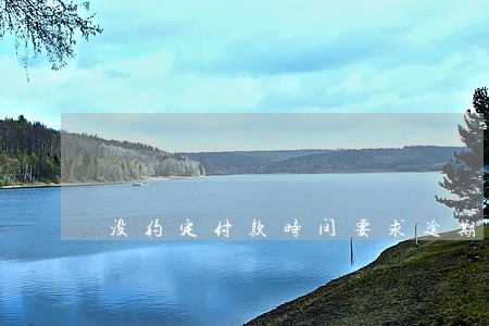 没约定付款时间要求逾期利息 没约定付款时间要求逾期利息