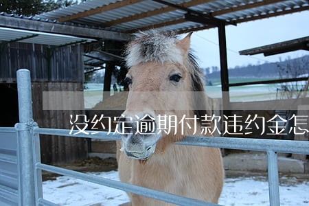 没约定逾期付款违约金怎么赔 没约定逾期付款违约金怎么赔