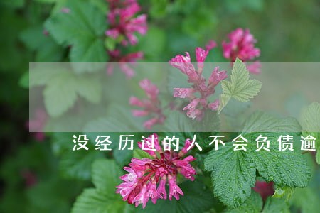 没经历过的人不会负债逾期 没经历过的人不会负债逾期