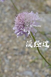 没经过判决可以冻结银行卡吗