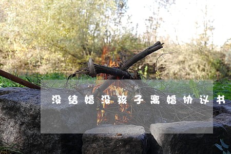 没结婚没孩子离婚协议书 没结婚没孩子离婚协议书