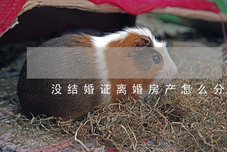没结婚证离婚房产怎么分配 没结婚证离婚房产怎么分配