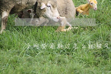 没网贷逾期过怎么就被风控了 没网贷逾期过怎么就被风控了