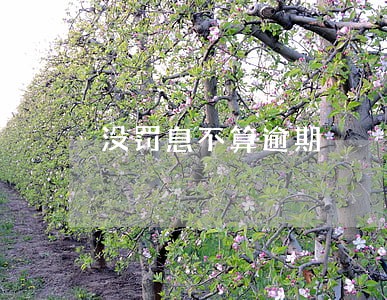 没罚息不算逾期 没罚息不算逾期