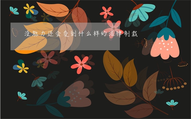 没能力还会受到什么样的法律制裁 没能力还会受到什么样的法律制裁