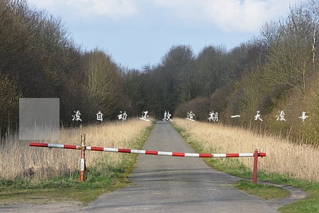 没自动还款逾期一天没事吧 没自动还款逾期一天没事吧