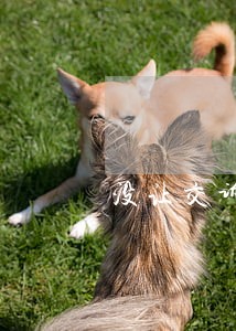 没让交诉讼费 没让交诉讼费