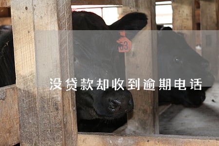 没贷款却收到逾期电话 没贷款却收到逾期电话