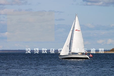 没贷款征信上显示逾期 没贷款征信上显示逾期