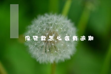 没贷款怎么会有逾期 没贷款怎么会有逾期