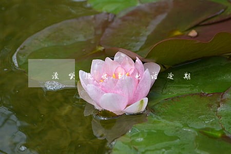 没贷款收到电话逾期 没贷款收到电话逾期