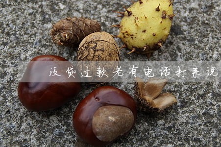 没贷过款老有电话打来说逾期 没贷过款老有电话打来说逾期