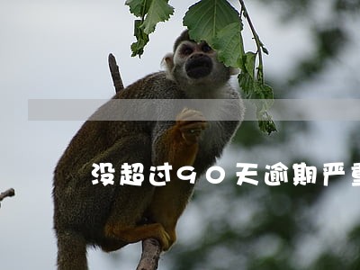 没超过90天逾期严重么 没超过90天逾期严重么