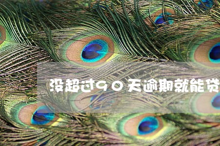 没超过90天逾期就能贷款吗 没超过90天逾期就能贷款吗