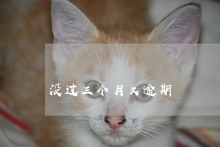 没过三个月又逾期