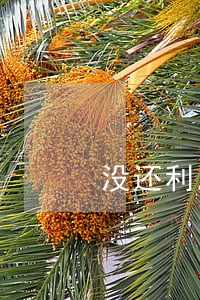 没还利息算逾期吗 没还利息算逾期吗