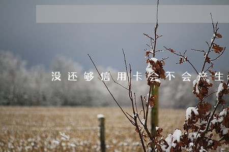 没还够信用卡会不会产生逾期 没还够信用卡会不会产生逾期