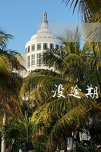 没逾期一次结清有减免吗 没逾期一次结清有减免吗