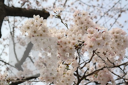 没逾期上门催收 没逾期上门催收