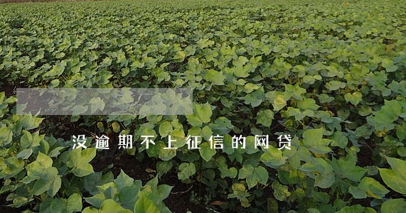 没逾期不上征信的网贷