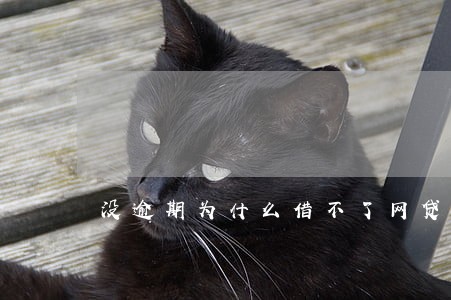 没逾期为什么借不了网贷