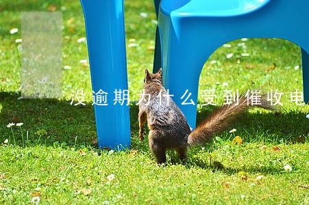 没逾期为什么受到催收电话 没逾期为什么受到催收电话