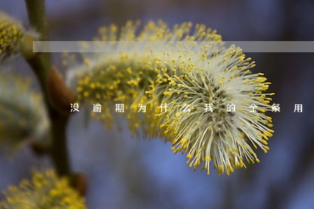 没逾期为什么我的金条用不了 没逾期为什么我的金条用不了
