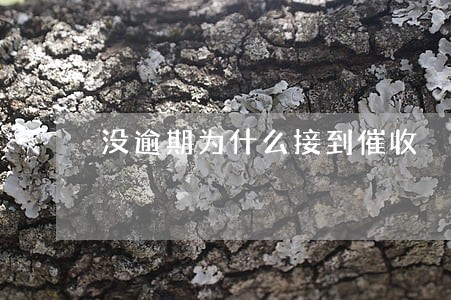 没逾期为什么接到催收 没逾期为什么接到催收