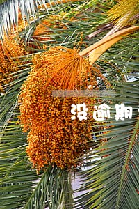 没逾期为什么显示逾期 没逾期为什么显示逾期