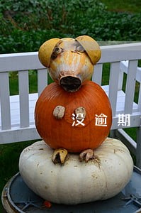 没逾期为什么申请网贷总失败 没逾期为什么申请网贷总失败