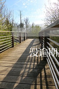 没逾期为什么金条关了 没逾期为什么金条关了