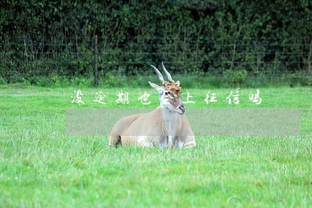 没逾期也会上征信吗 没逾期也会上征信吗