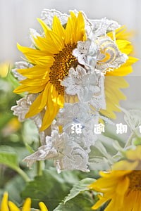 没逾期也收到欠款通知 没逾期也收到欠款通知