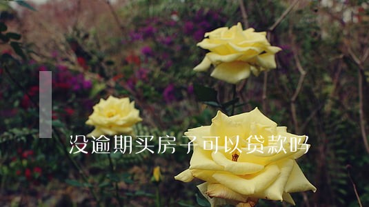 没逾期买房子可以贷款吗 没逾期买房子可以贷款吗