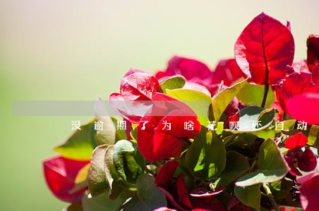 没逾期了为啥花呗还自动还款 没逾期了为啥花呗还自动还款