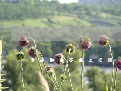 没逾期会不会上征信 没逾期会不会上征信