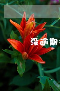 没逾期会催收嘛