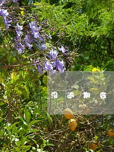 没逾期会影响老婆买车贷款吗 没逾期会影响老婆买车贷款吗