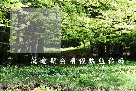 没逾期会有催收电话吗 没逾期会有催收电话吗