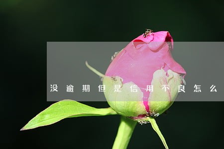 没逾期但是信用不良怎么办