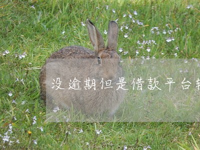 没逾期但是借款平台较多 没逾期但是借款平台较多