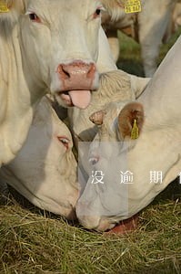 没逾期但是征信很花还能借款吗 没逾期但是征信很花还能借款吗