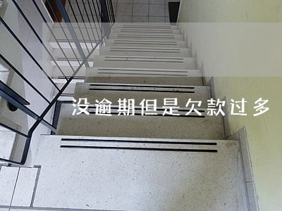 没逾期但是欠款过多