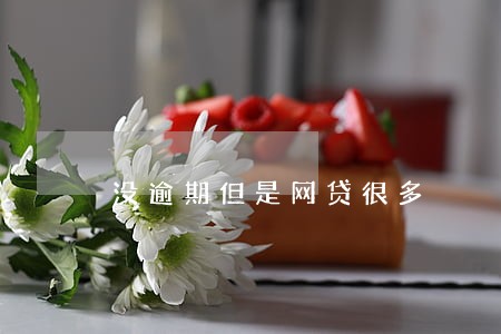 没逾期但是网贷很多 没逾期但是网贷很多