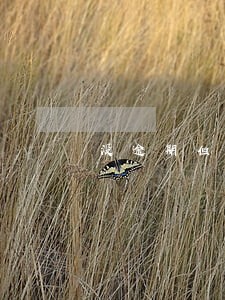 没逾期但是贷不了款全部冻结 没逾期但是贷不了款全部冻结