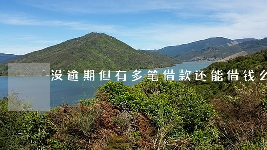 没逾期但有多笔借款还能借钱么 没逾期但有多笔借款还能借钱么